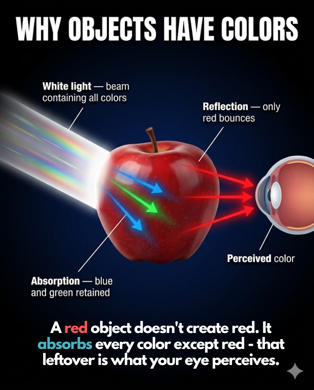 Light - Slide 8